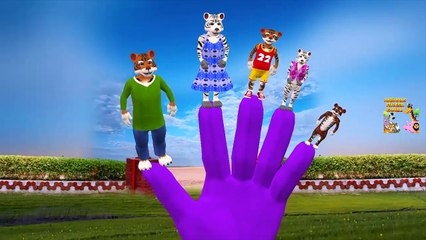Wild Animals Finger Family | Lion Tiger Finger Family Rhymes | Wild Animals Cartoons For Kids