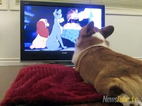 Quand tu regardes un film romantique seul