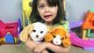 FurReal Friends Peek-A-Boo Daisy Kitten & My Bouncin Pup Puppy Toys with Emily!