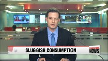 Ratio of sluggish consumption households hits highest since 2009