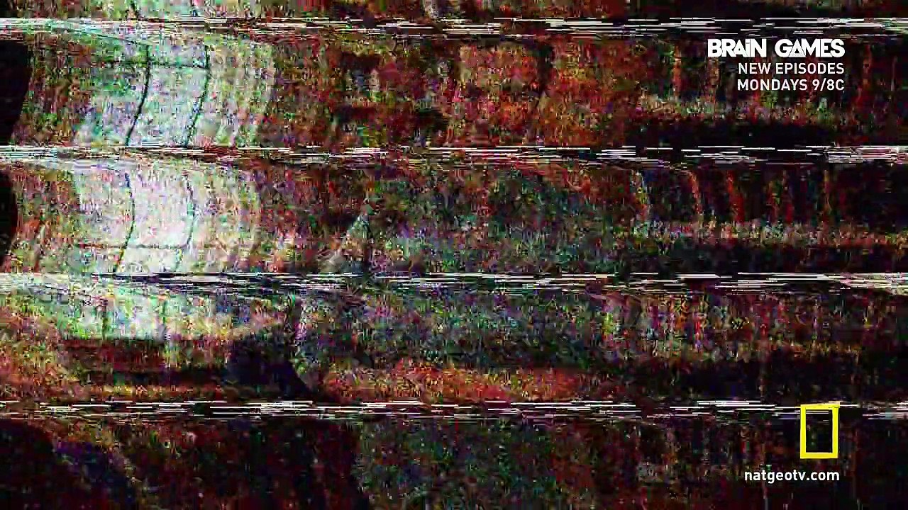 Brain Games .S05E06 Memory
