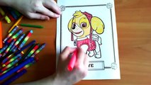 PAW Patrol Skye New Coloring Pages for Kids Colors Coloring colored markers felt pens pencils