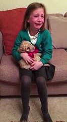 Sa peluche va se transformer en vrai chiot... Regardez sa réaction!