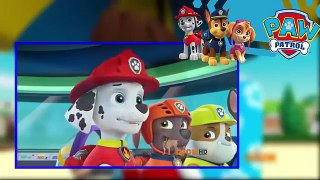 La Patrulla Canina en Español capitulos completos 2016 Temporada 2 Episodio 141