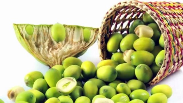 CÂY THUỐC NAM: CÂY SEN, CÔNG DỤNG CHỮA BỆNH TỪ CÂY SEN