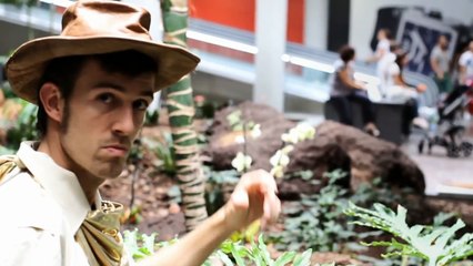 LAS AVENTURAS DE TABLERO JONES