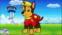 Paw Patrol Nick Jr Transforms Chase Color Swap Skye Episode Surprise Egg and Toy Collector SETC