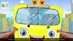 The Wheels on the Bus Go Round and Round | Cute Animals Songs | Aussie Kids Songs
