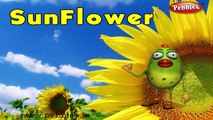 Sunflower Rhyme | 3D Nursery Rhymes With Lyrics For Kids | Flower Rhymes | 3D Rhymes Animation