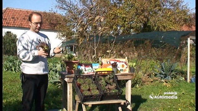 Poljoprivredna emisija Svet poljoprivrede - 483. epizoda