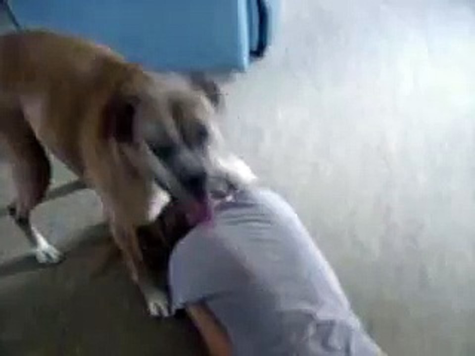 My dog.
