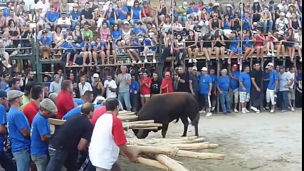 الأسبان يبتكرون طريقة طريفة لمصارعة الثيران