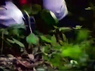 정선카지노쪽박걸ゎ／／ ＧＭ５５４。COM  ／／せ블랙썬카지노