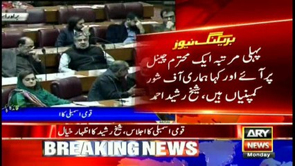 Speaker NA should have sent Nawaz's case in SC along Imran's: Sheikh Rasheed