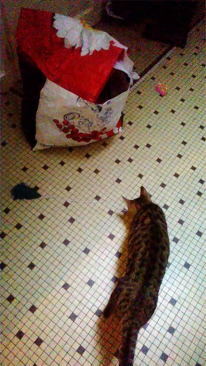 links et noel