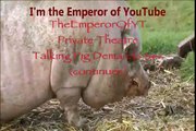 Talking Pig Demands Sexy Dance (Very sexy) (part 2) مثير الرقص ومثيرة