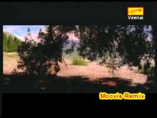 Pudichirukku Video Remix | Saamy | Vikram | Trisha | Harris Jayaraj | Hari