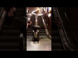 Man Finds an Innovative Use for Parallel Escalators