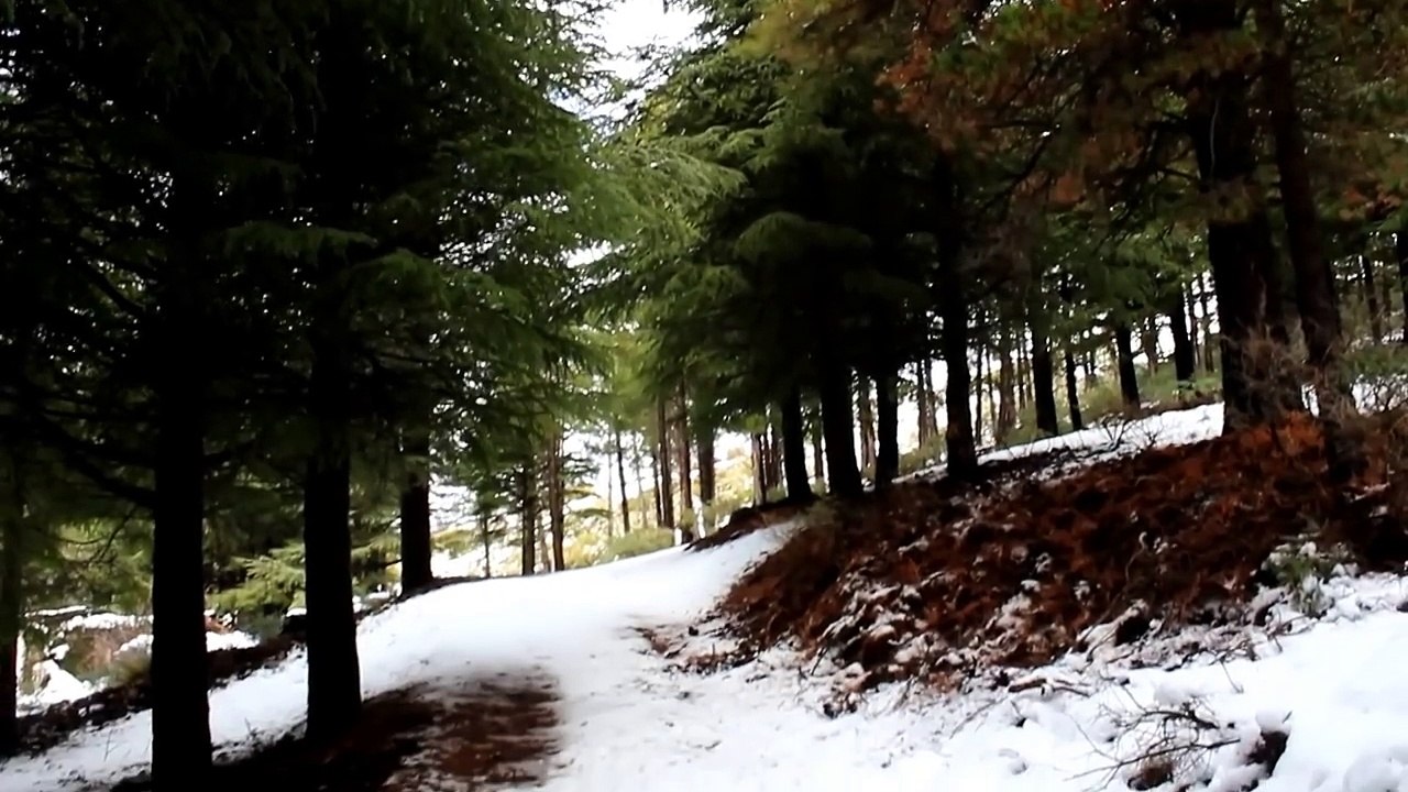 Prado Abarca. 18 Diciembre 2016.