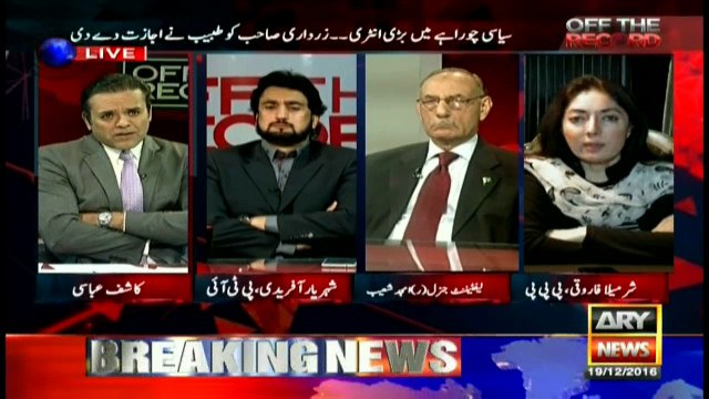 Asif Zardari has given Pakistan democratic stability, says Sharmila Farooqi