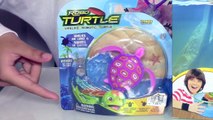 Robo Turtle Playset by Zuru   Surprise Egg Game - Kids Toys