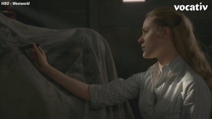 2016: The Year In Robot Companions - Beyond Westworld