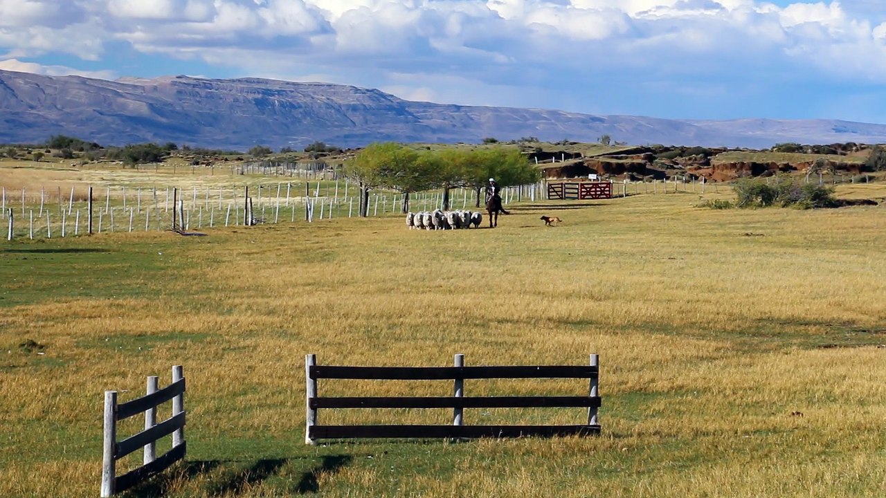 Argentine - Patagonie