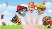 Paw Patrol Finger Family Song with Chase Marshall Skye Rubble Rocky and Zuma on Nick Jr