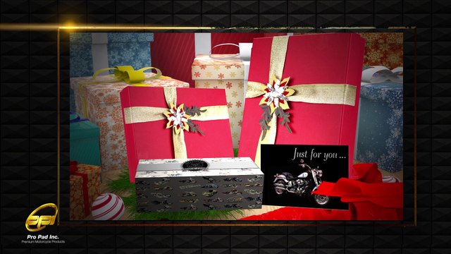 Introducing The MOTO MOUNT From ProPadOnline.com | Motorcycle Gifts & Accessories | Pro Pad Inc