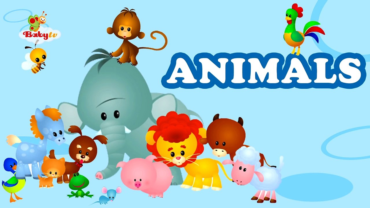 Whale - Learning Animal Sounds and Names for Kids & Toddlers | BabyTV