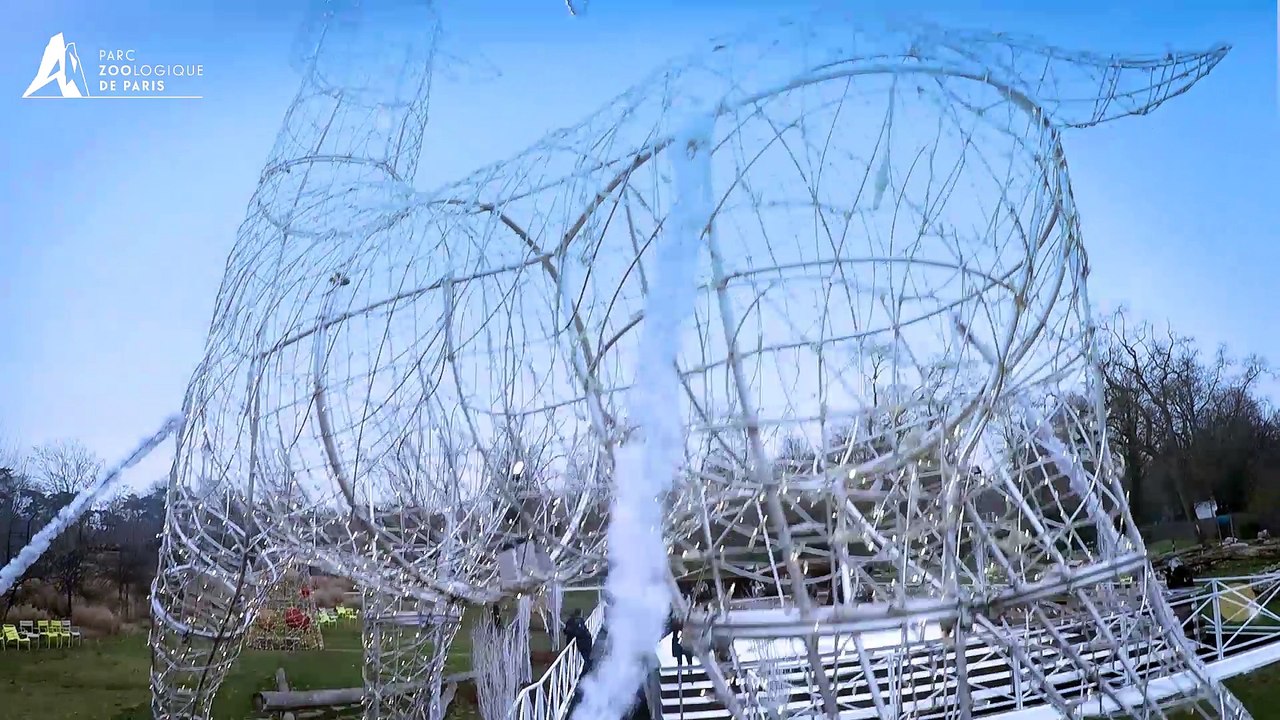 Patinoire de Noël  au Parc Zoologique de Paris
