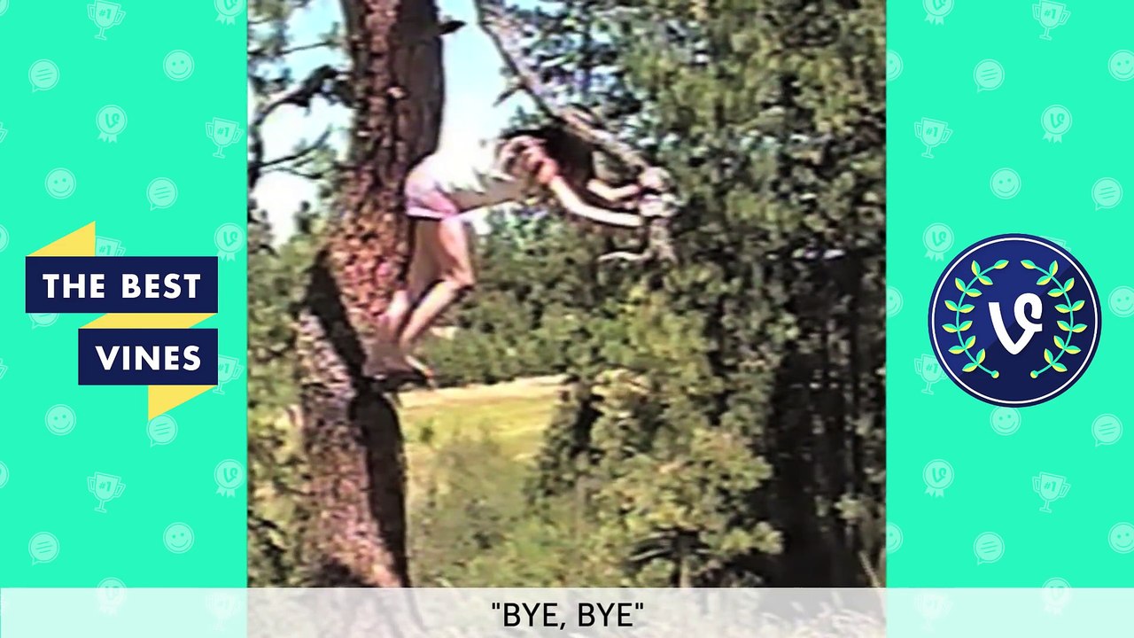 Best Fails Vines Compilation   Top Fail Vines June 2016 (2)