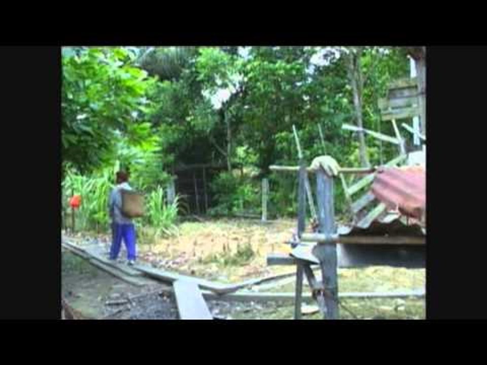 Nadai Apai Enggau Indai