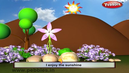 Thyme Rhyme | 3D Nursery Rhymes With Lyrics For Kids | Flower Rhymes | 3D Rhymes Animation