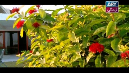 Meri Ladli Episode 09 - on Ary Zindagi in High Quality 19th December 2016