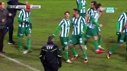 Football Turkish First League Giresunspor – Samsunspor 1-0