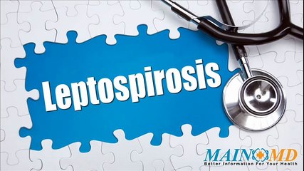Leptospirosis - Treatment and Symptoms