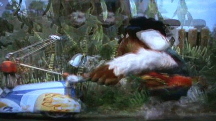 The Wombles S5 E7 - Star Struck