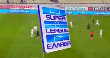 Tomas Pekhart Goal - AEK Athens FCt1-0tGiannina 19.12.2016
