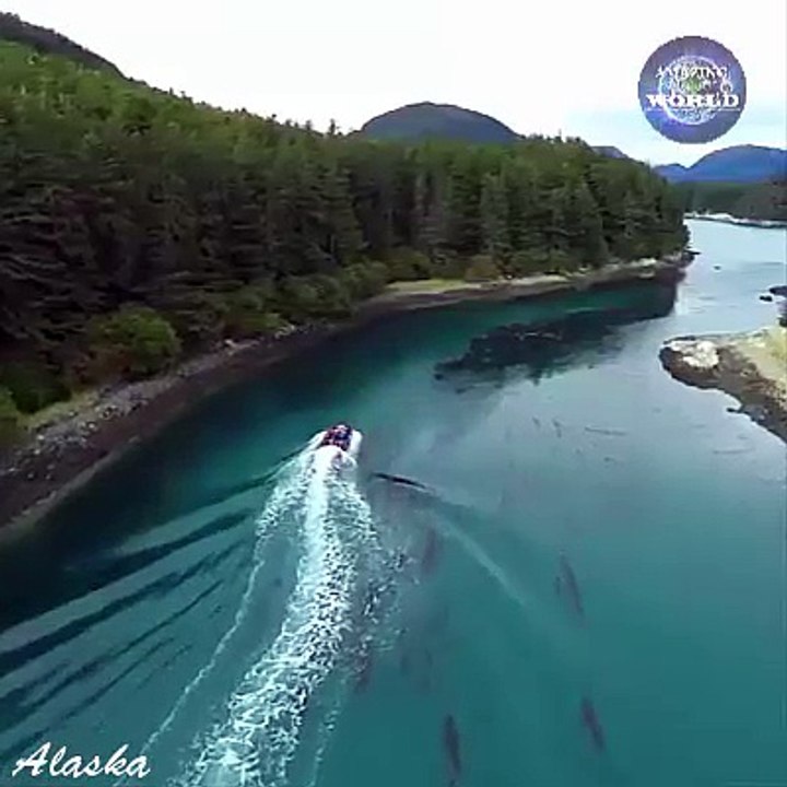 alaska