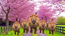 Animals Horse, Elephant, Gorilla & Lion, Tiger, Sounds For Nursery Rhymes For Lyrics