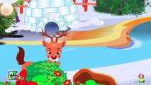 Rudolph the RedNosed Reindeer | Christmas Carols | Christmas Songs for Children