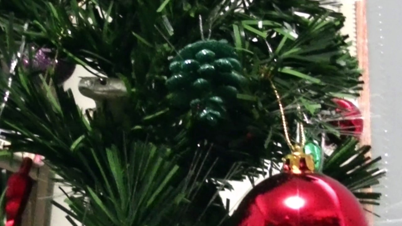 Merry Chrissstmas - video Dailymotion