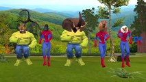 Spiderman Loses His Face Becomes Gorilla Dinosaurs Animals Finger Family Nursery Rhymes Collection
