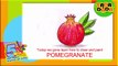 How to draw a POMEGRANATE | STEP BY STEP | Kids Drawing | Arts for Kids |Tada-Dada Art Club