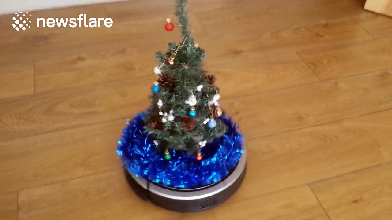 Roomba vacuum parades Christmas tree around house video Dailymotion