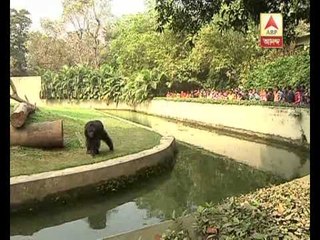 Christmas Holiday celebration at Alipur zoo