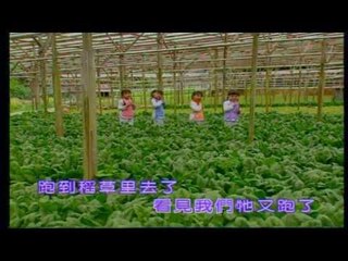 四千金 Four Golden Princess - 稻草里的火鸡/不洗面的跳蚤/老乌鸦和小乌鸦