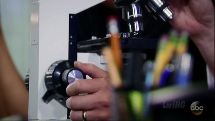 12-19-16 - Hayden / Finn