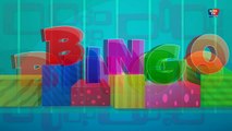 Bingo chanson de chien | enfants comptines | chansons denfants en français